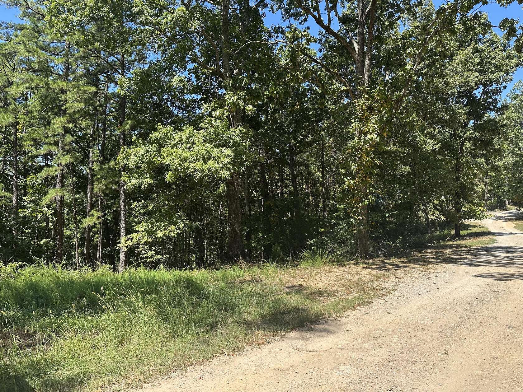 0.31 Acres of Residential Land for Sale in Van Buren, Missouri
