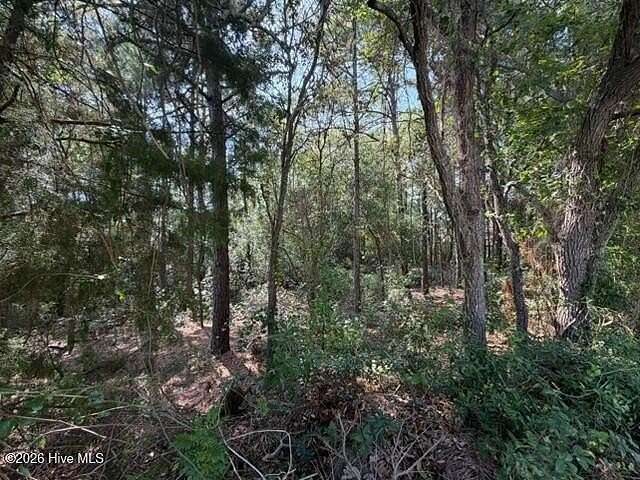 0.39 Acres of Residential Land for Sale in Wilmington, North Carolina