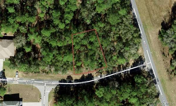 0.26 Acres of Land for Sale in Citrus Springs, Florida