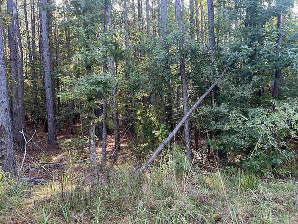 6.26 Acres of Residential Land for Sale in Amity, Arkansas