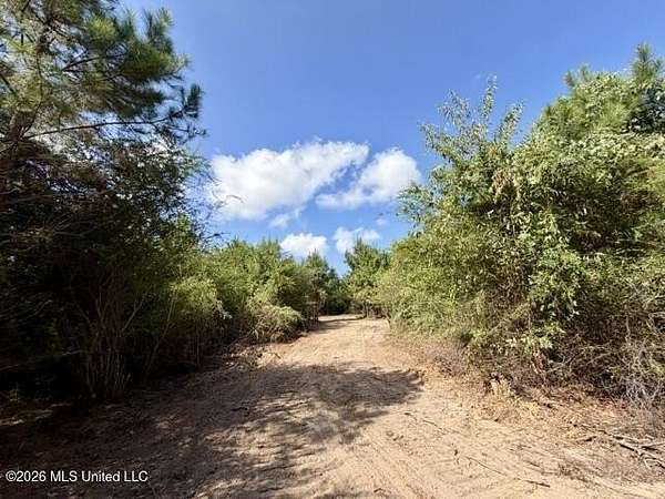 4 Acres of Residential Land for Sale in Franklinton, Louisiana