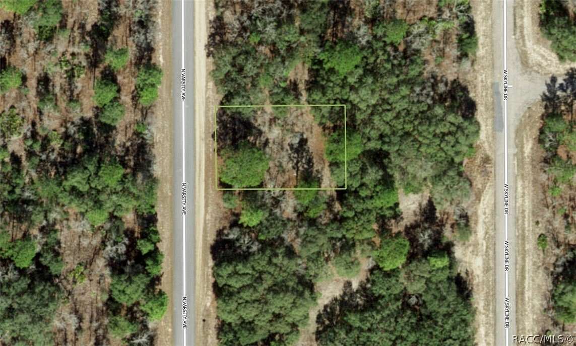 0.23 Acres of Land for Sale in Citrus Springs, Florida