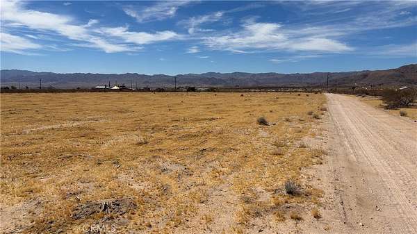 10 Acres of Residential Land for Sale in Joshua Tree, California