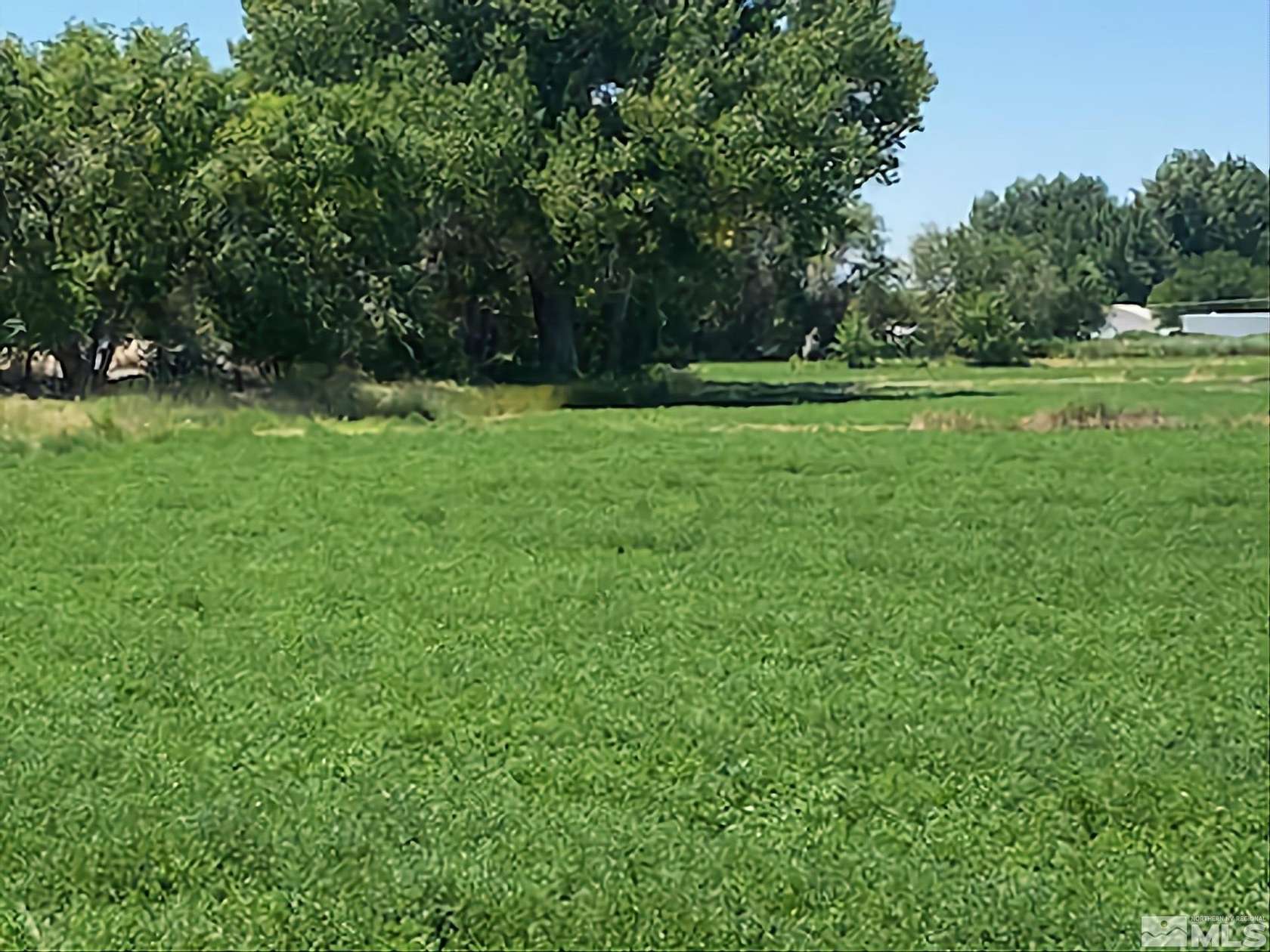 12 Acres of Land for Sale in Fallon, Nevada