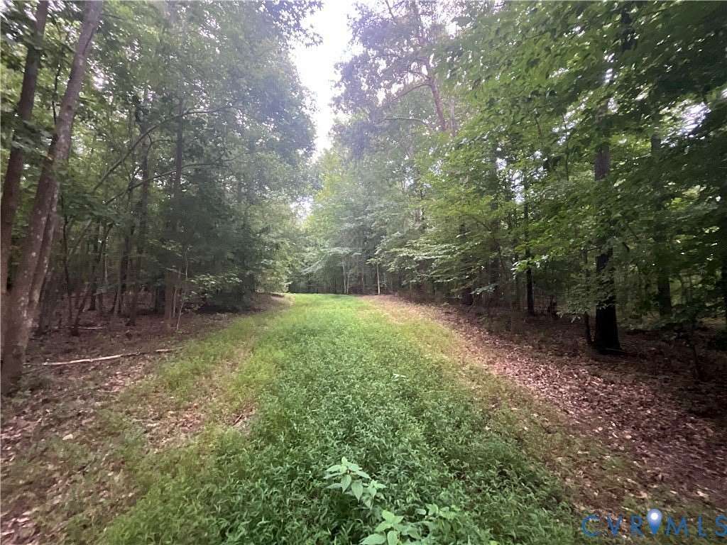 10 Acres of Recreational & Residential Land for Sale in Jetersville, Virginia