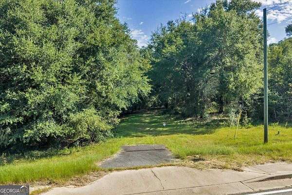 4.52 Acres of Commercial Land for Sale in Hawkinsville, Georgia