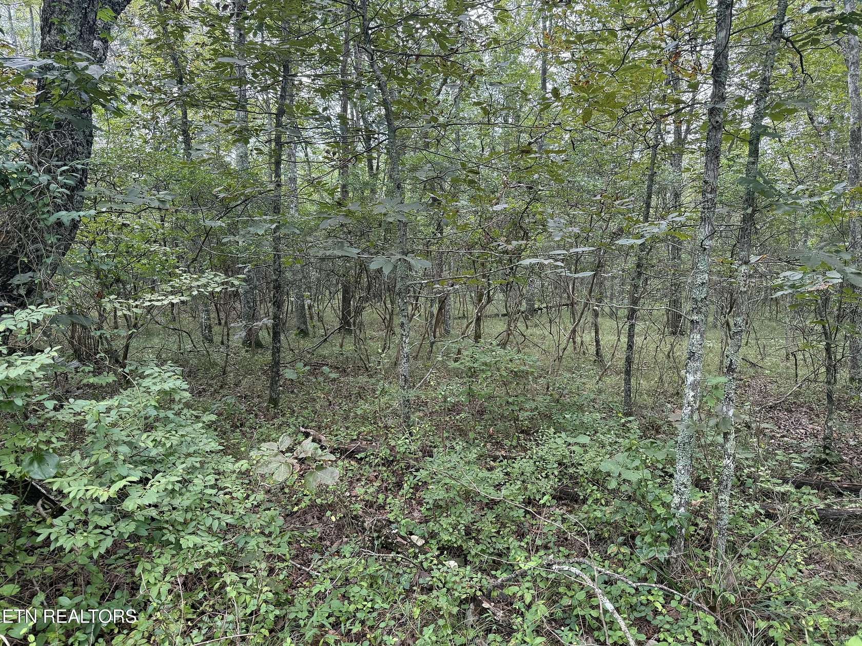 0.24 Acres of Residential Land for Sale in Crossville, Tennessee
