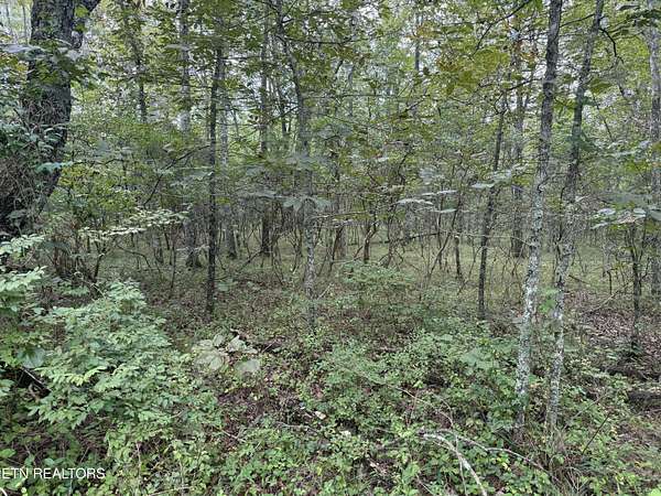 0.24 Acres of Residential Land for Sale in Crossville, Tennessee