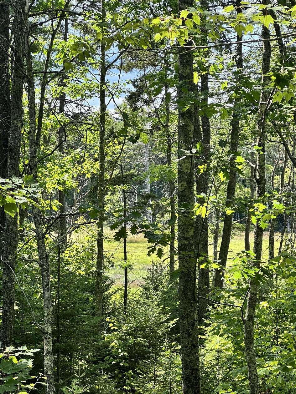 2 Acres of Land for Sale in Harpswell Town, Maine