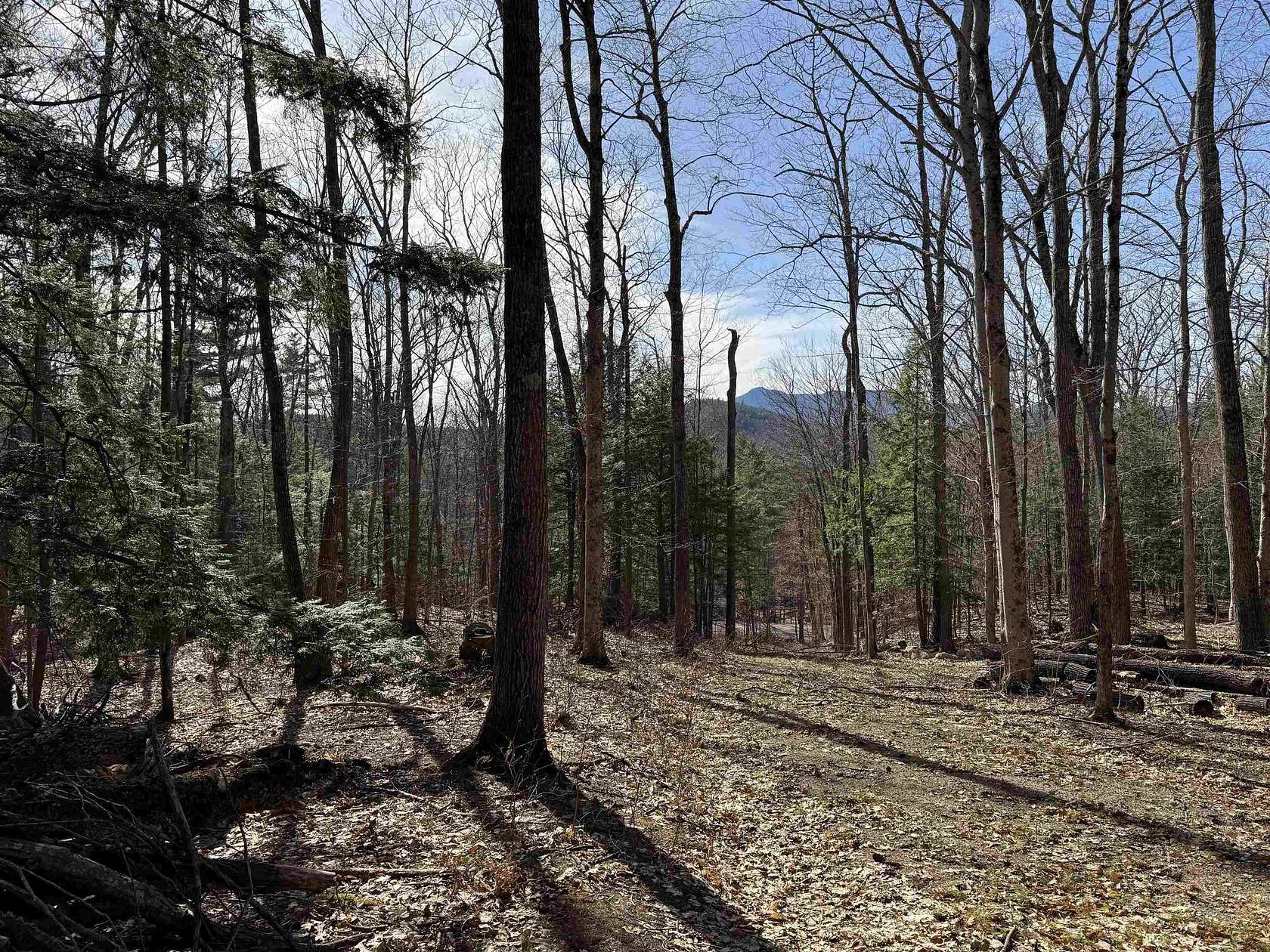 3.6 Acres of Residential Land for Sale in Madison, New Hampshire