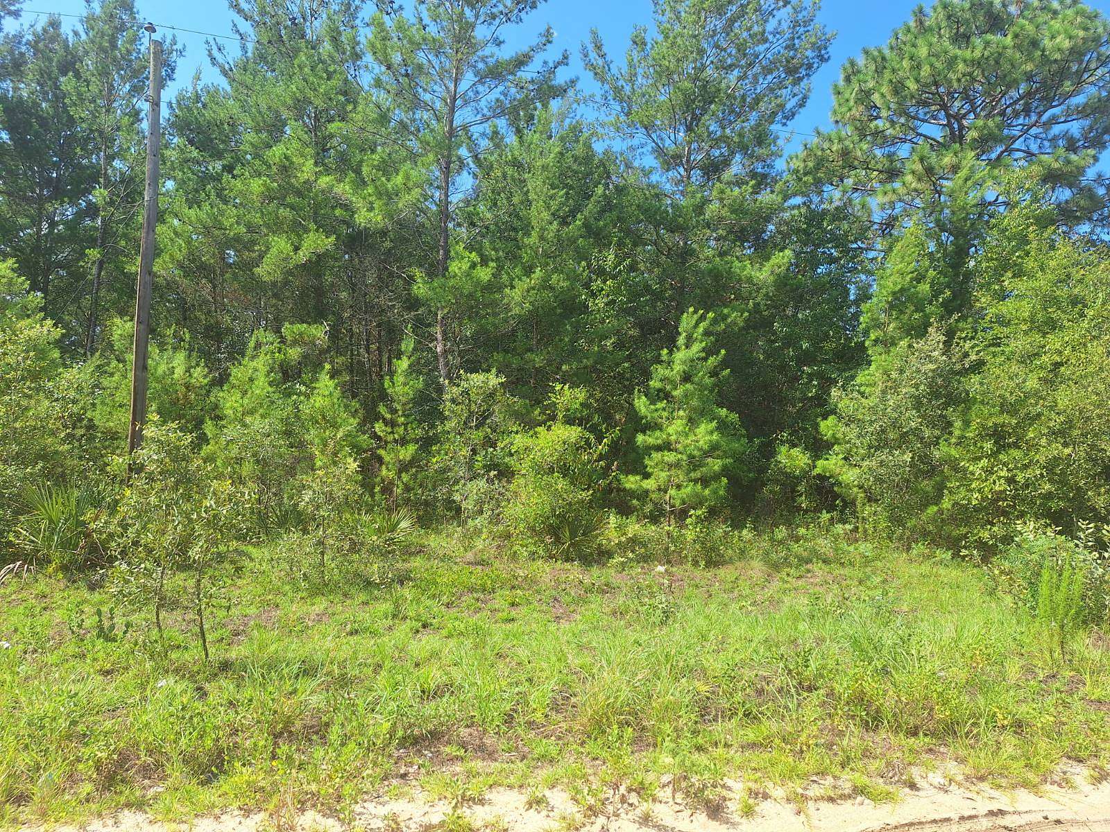 0.23 Acres of Residential Land for Sale in Interlachen, Florida