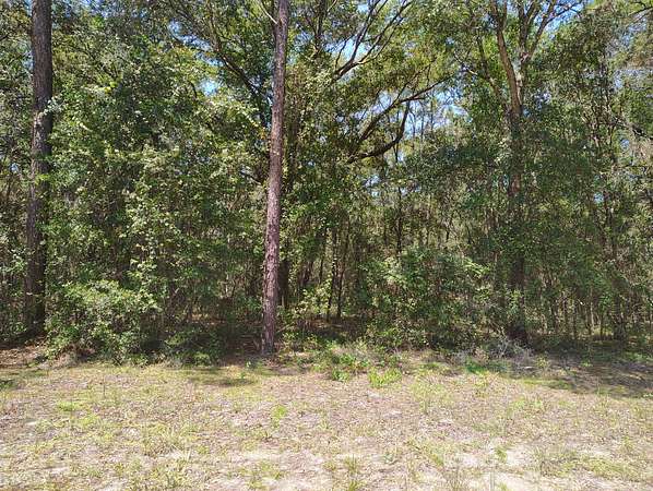 10 Acres of Residential Land for Sale in Interlachen, Florida