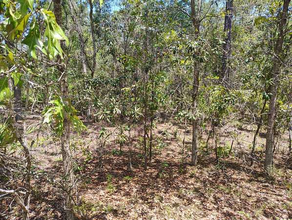 0.92 Acres of Residential Land for Sale in Interlachen, Florida