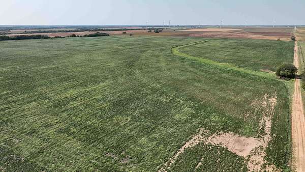 156 Acres of Agricultural Land for Auction in South Haven, Kansas
