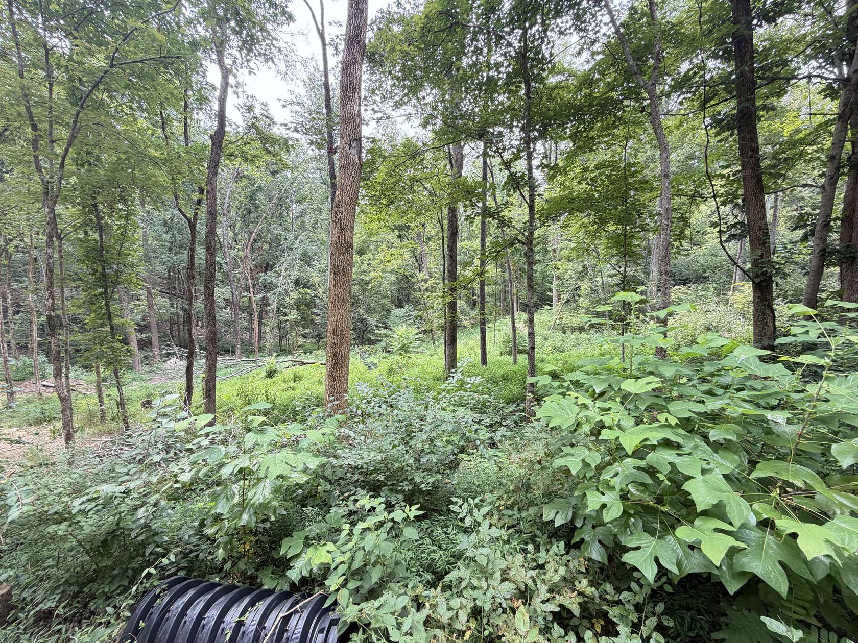 2.39 Acres of Residential Land for Sale in Nashville, Tennessee