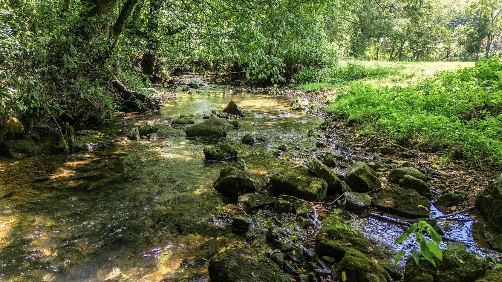 110 Acres of Recreational Land for Sale in Woodbury, Tennessee