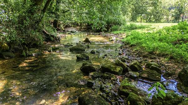 110 Acres of Recreational Land for Sale in Woodbury, Tennessee