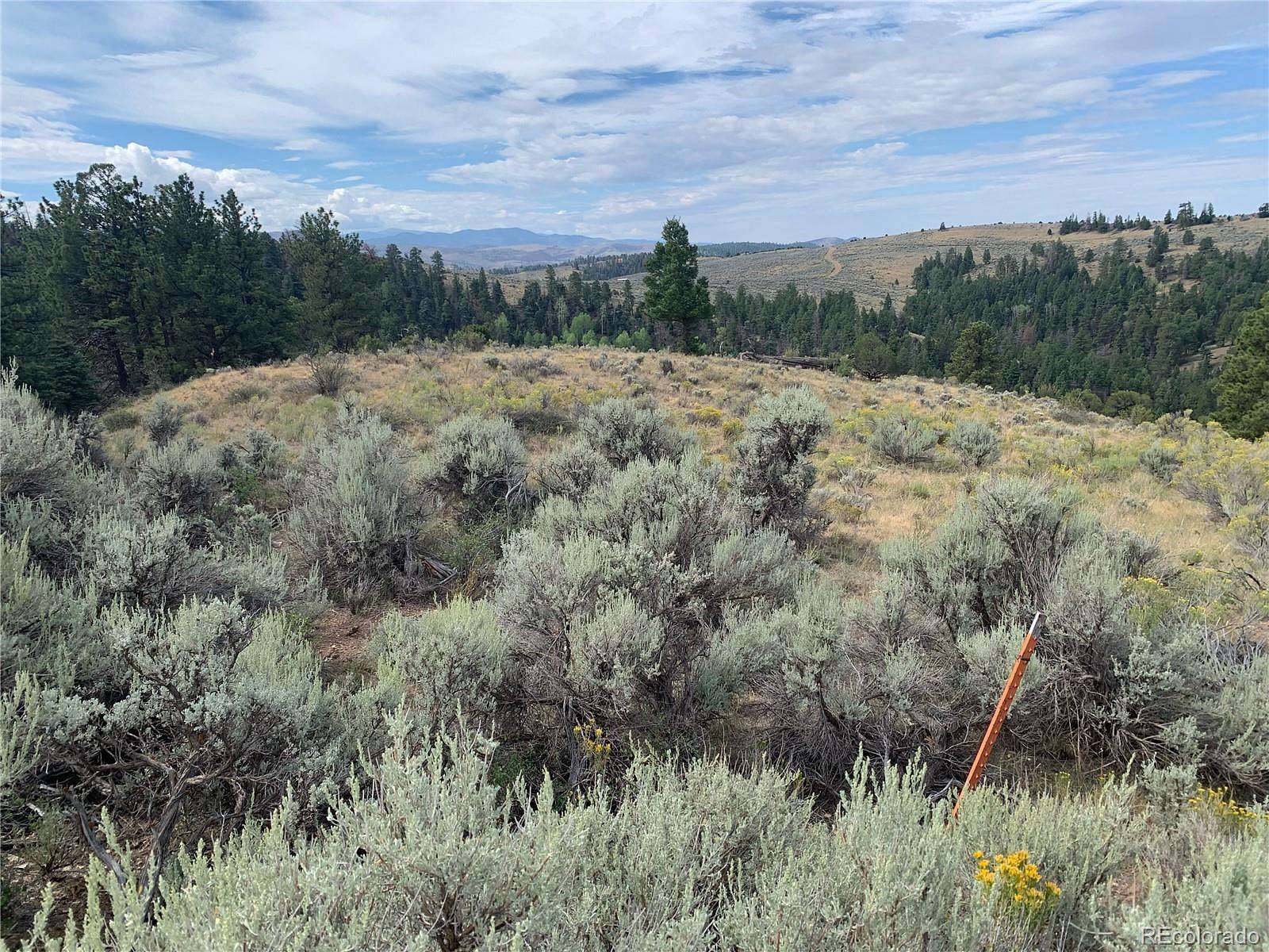 47.6 Acres of Land for Sale in Fort Garland, Colorado