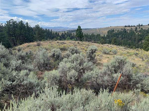 47.6 Acres of Land for Sale in Fort Garland, Colorado