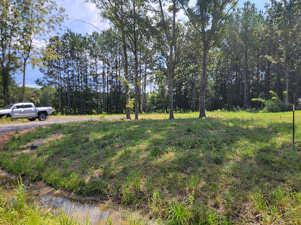 0.5 Acres of Residential Land for Sale in Ashville, Alabama
