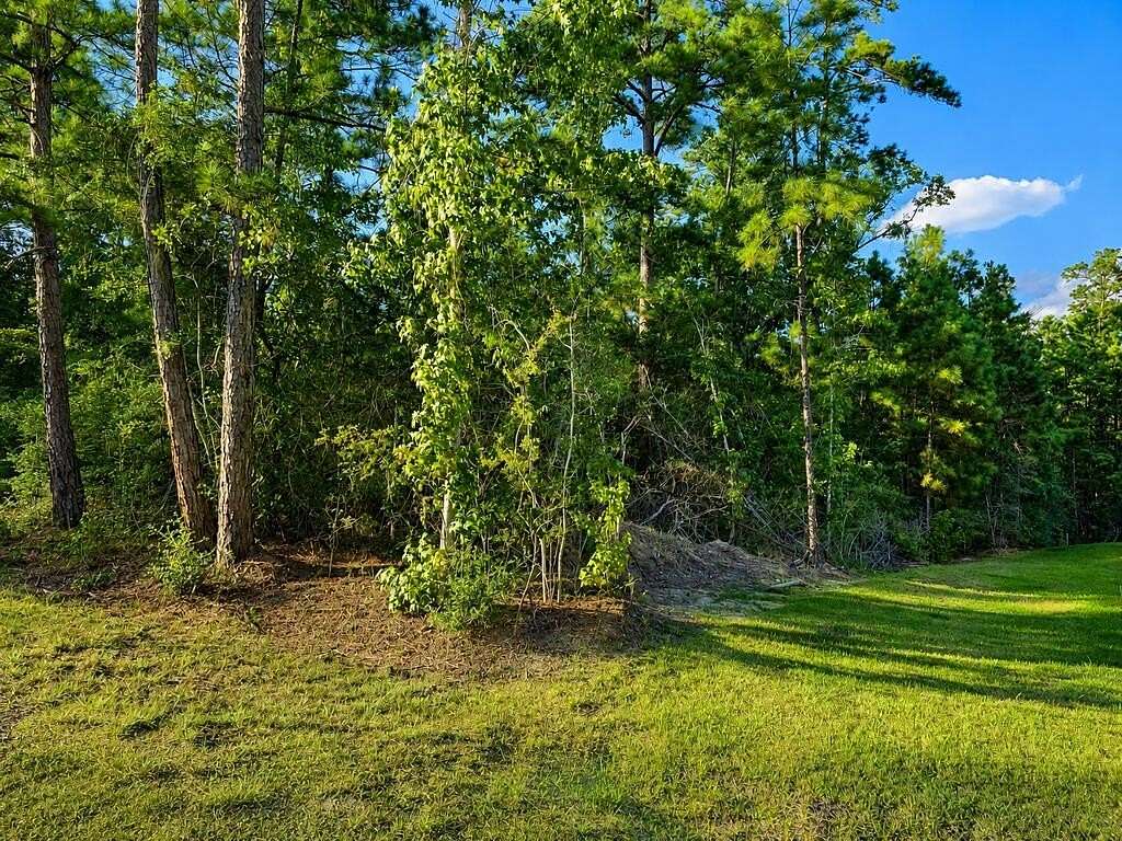 0.23 Acres of Residential Land for Sale in Brookeland, Texas