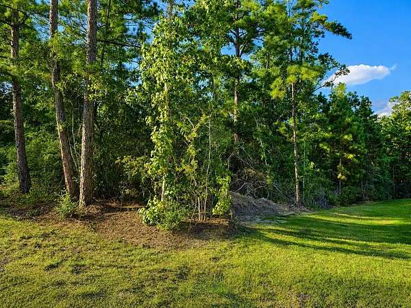 0.23 Acres of Residential Land for Sale in Brookeland, Texas