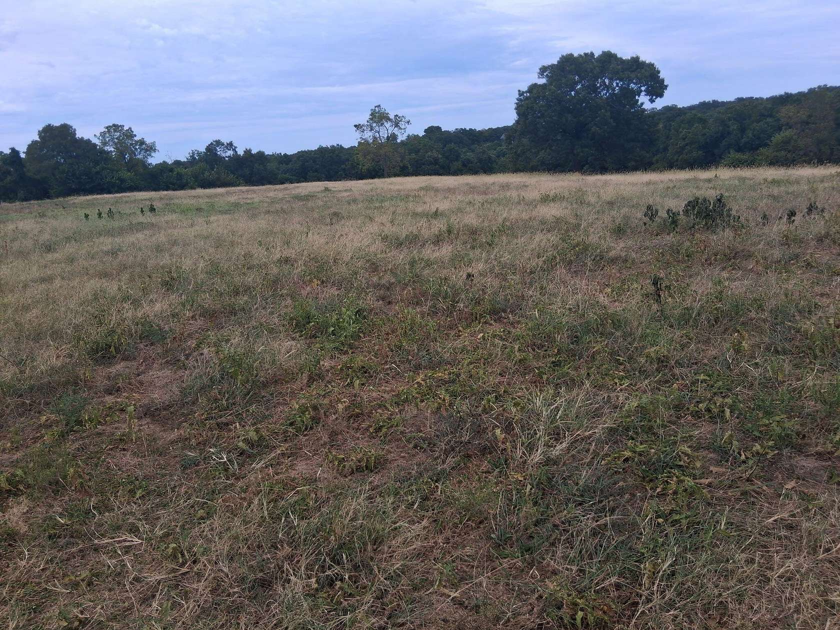 11.4 Acres of Recreational & Residential Land for Sale in Washburn, Missouri