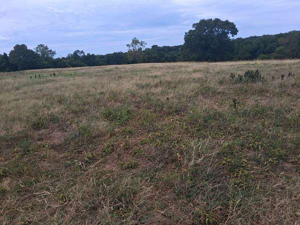 11.4 Acres of Recreational & Residential Land for Sale in Washburn, Missouri
