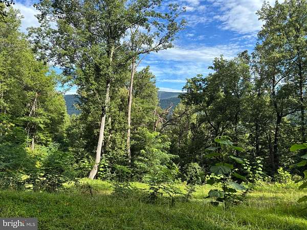 19.4 Acres of Land for Sale in Stanardsville, Virginia