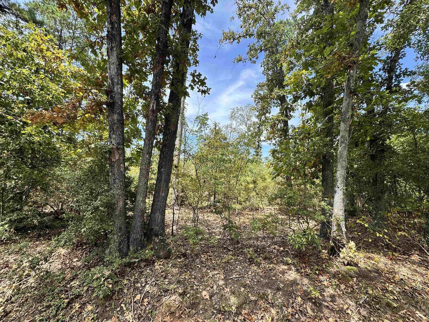 11 Acres of Land for Sale in Henderson, Texas