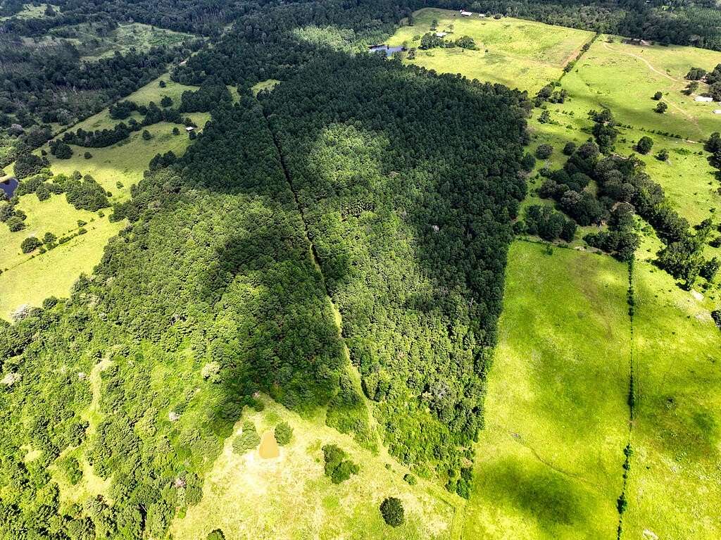 57.5 Acres of Recreational & Residential Land for Sale in Crockett, Texas