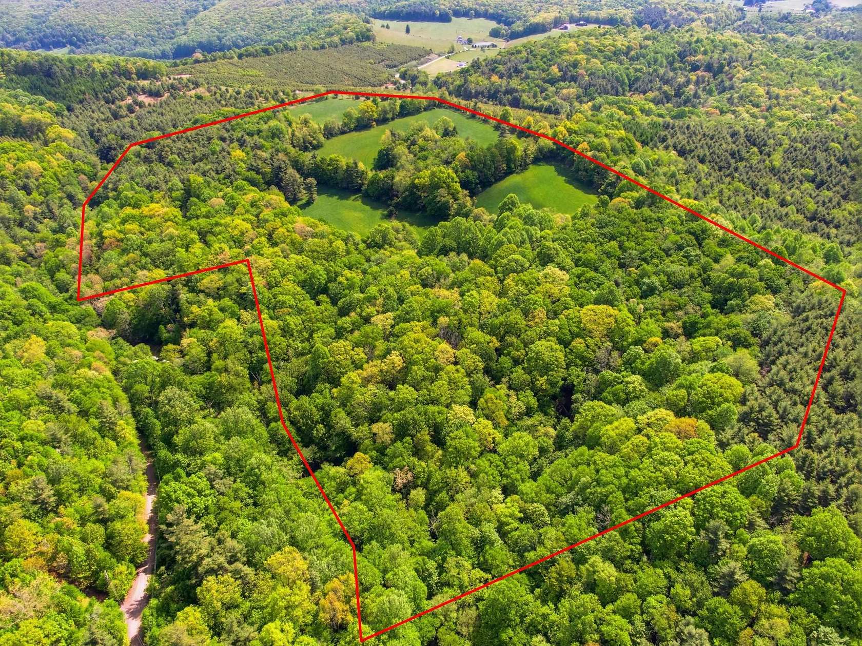 40 Acres of Land for Sale in Willis, Virginia