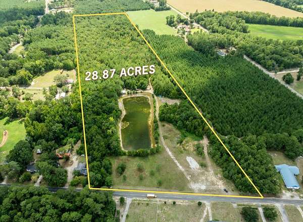 28.9 Acres of Recreational & Residential Land for Sale in Cades, South Carolina