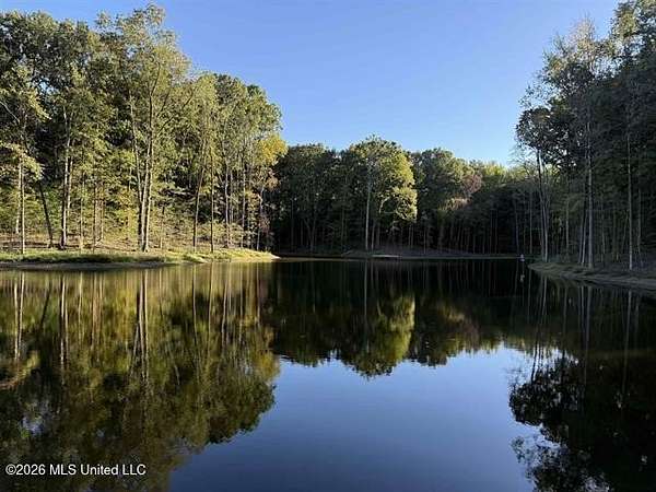 50.1 Acres of Recreational & Residential Land for Sale in Arlington, Tennessee