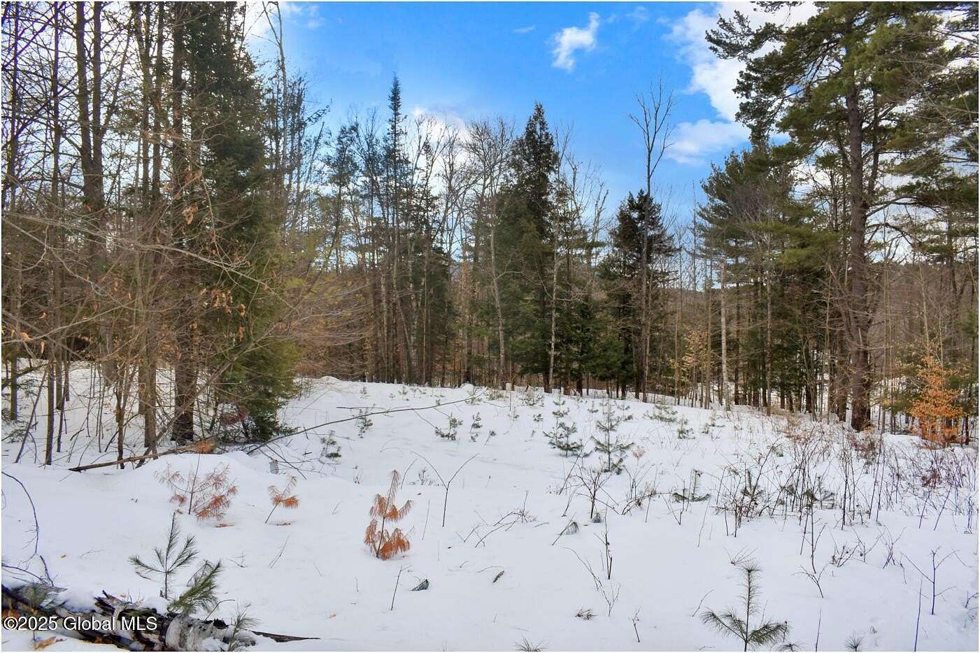 1.65 Acres of Residential Land for Sale in Wevertown, New York