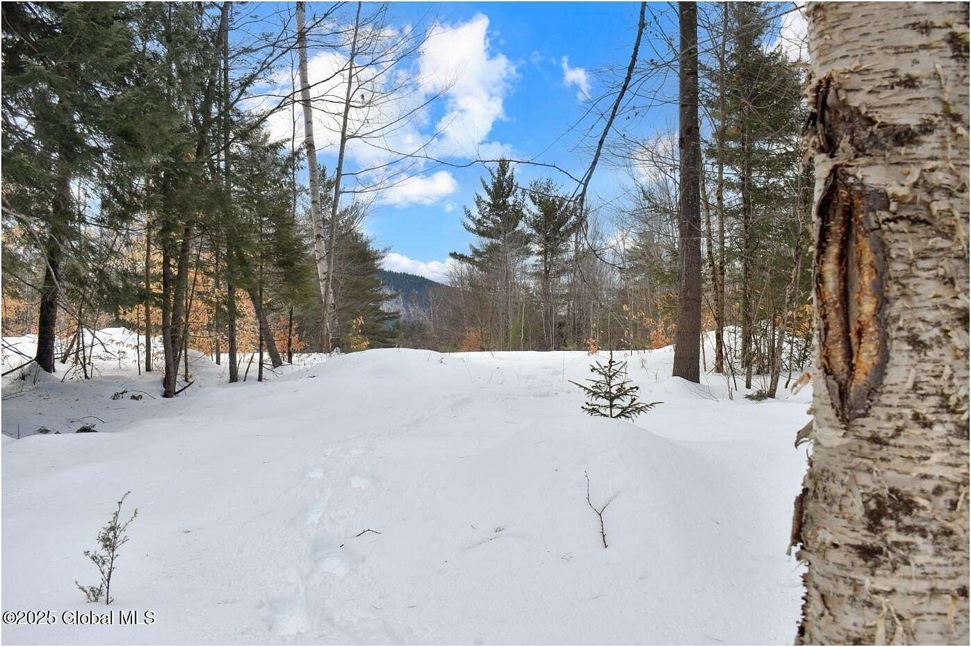 4.33 Acres of Residential Land for Sale in Wevertown, New York