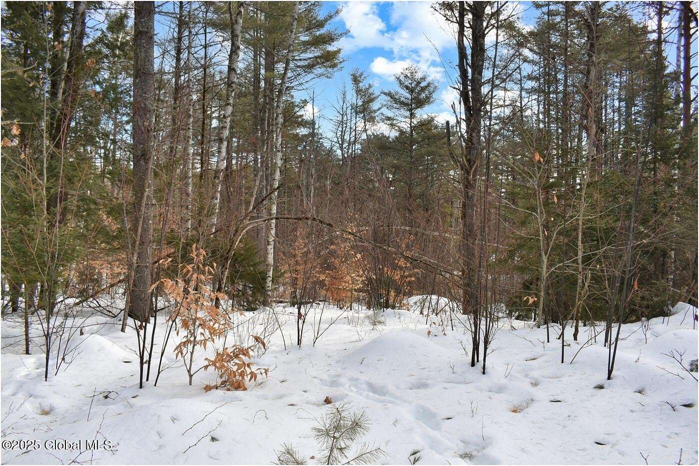 3.57 Acres of Residential Land for Sale in Wevertown, New York