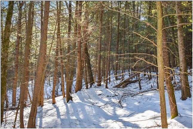 2.38 Acres of Residential Land for Sale in Chestertown, New York