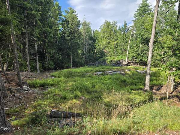 0.73 Acres of Residential Land for Sale in Chester Town, New York