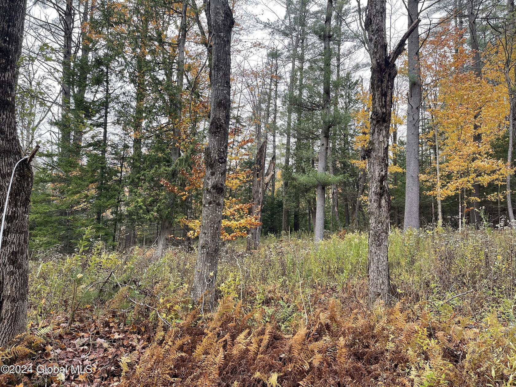 2.7 Acres of Land for Sale in Minerva, New York