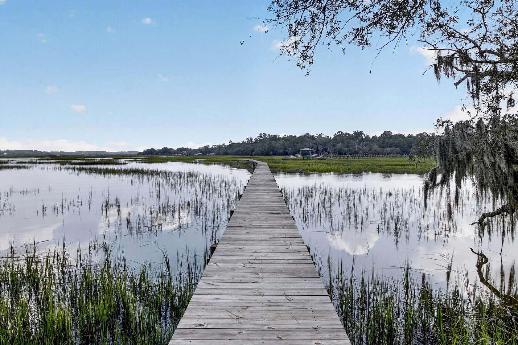 13.6 Acres of Land for Sale in Meggett, South Carolina