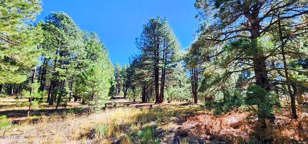 1 Acre of Residential Land for Sale in Forest Lakes Estates, Arizona