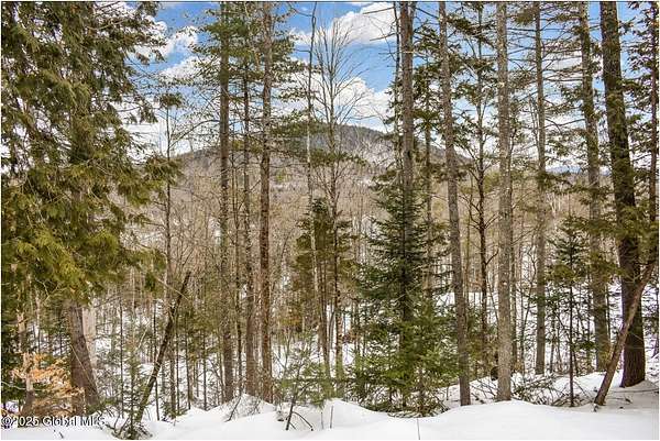 11.4 Acres of Land for Sale in North Creek, New York