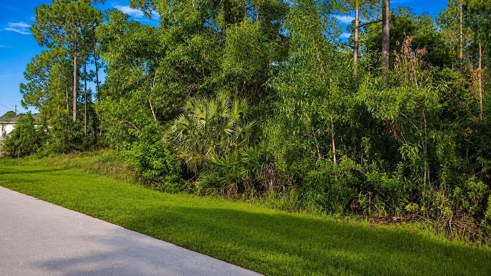 0.29 Acres of Residential Land for Sale in Lehigh Acres, Florida