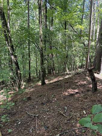 1.63 Acres of Residential Land for Sale in Talking Rock, Georgia