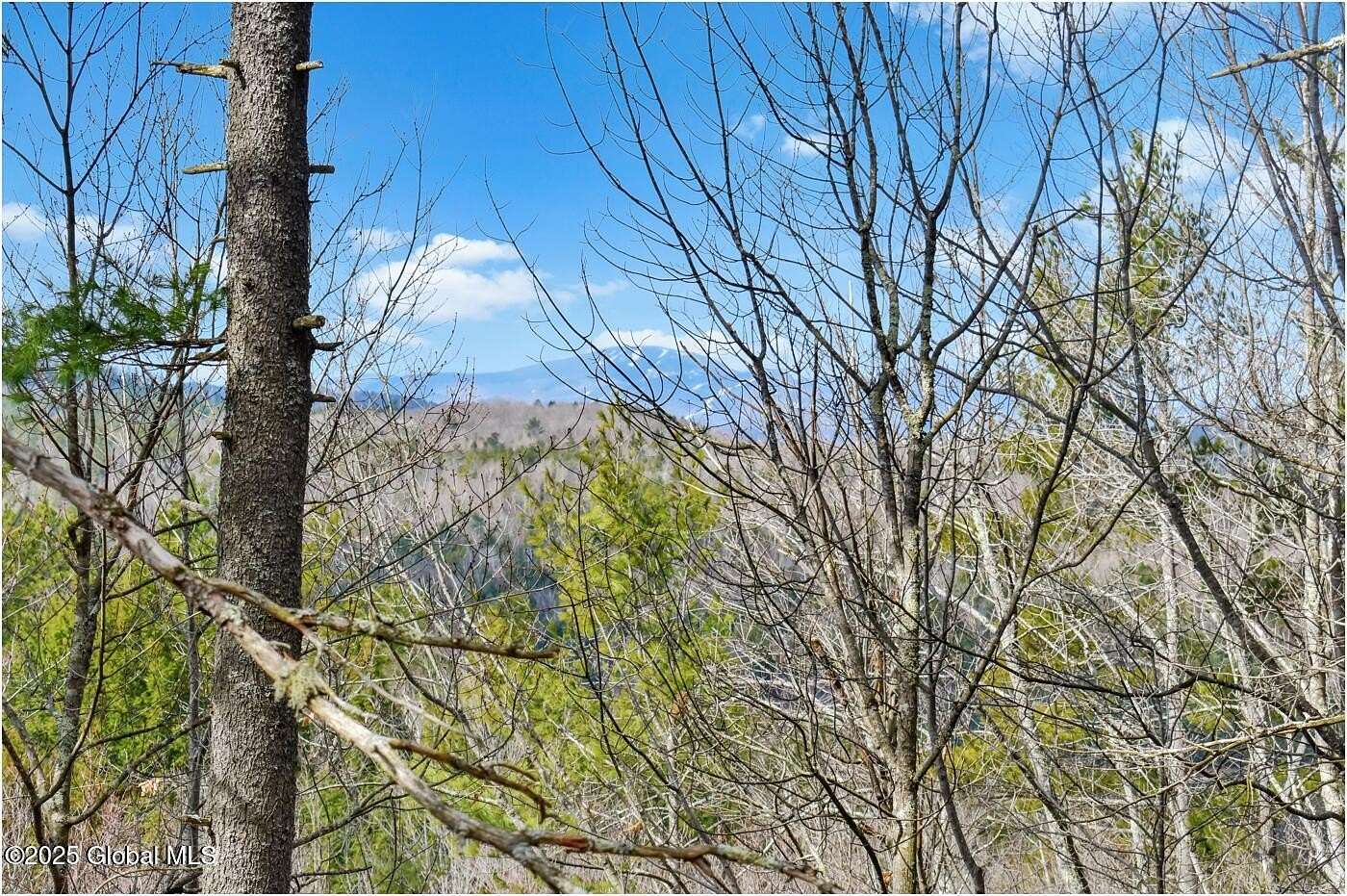 26 Acres of Recreational & Residential Land for Sale in Adirondack, New York