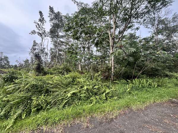 0.19 Acres of Land for Sale in Pahoa, Hawaii