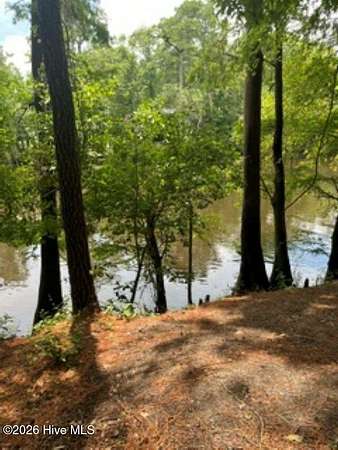 1.39 Acres of Residential Land for Sale in Burgaw, North Carolina