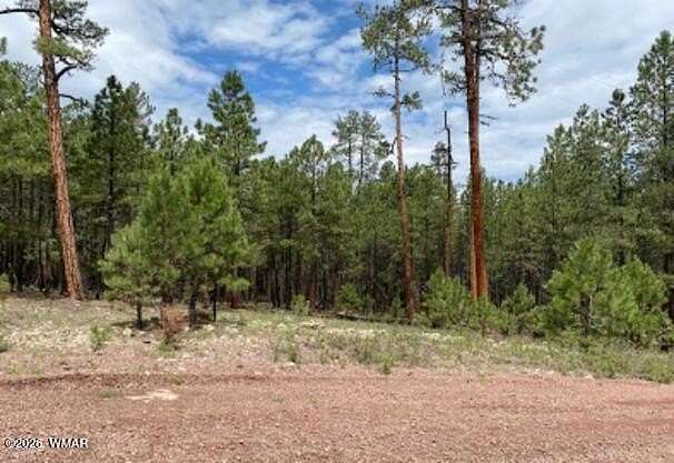 2.72 Acres of Residential Land for Sale in Alpine, Arizona