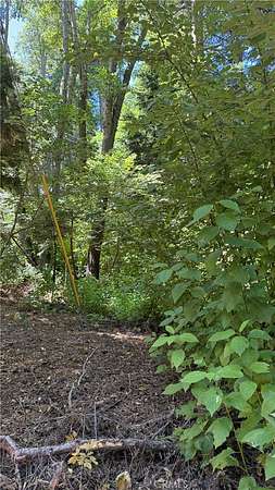 0.08 Acres of Land for Sale in Lake Arrowhead, California